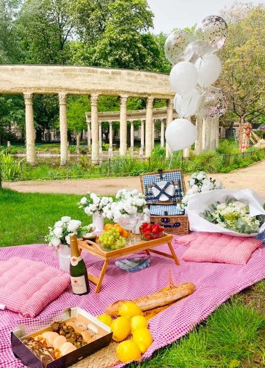 picnic-proposal-paris